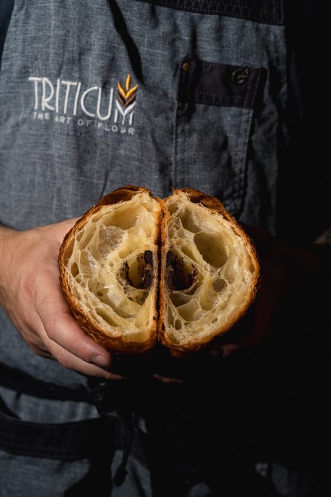 Videomaker e Fotografo in Ticino Triticum - Sofia Cambin