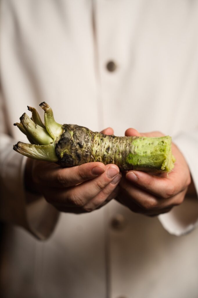 Videomaker e Fotografo in Ticino Tsukimi Tei 30